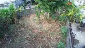 Tanah sewa atau Jual di Belimbingsari Pecatu