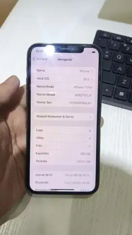 Iphone 11 pro 256 inter hp only