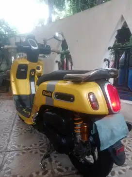 Fazzio 2022 full modif
