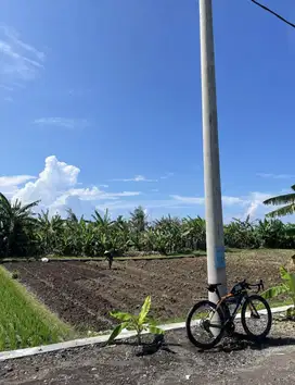 Tanah Di Tibubiu,Kerambitan,Tabanan Bali
