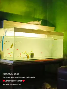 Aquarium 95cm 1 set