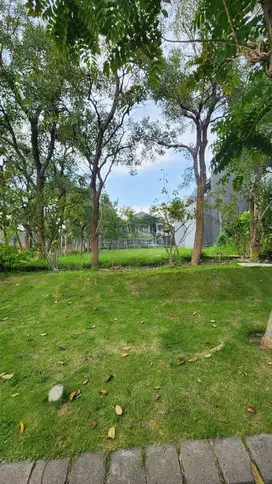22JT/M2! DIJUAL KAVLING TANAH PAKUWON INDAH LISBON ROW JALAN LEBAR