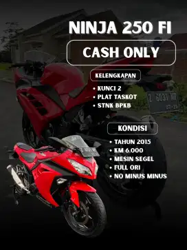 Kawasaki Ninja 250 Fi