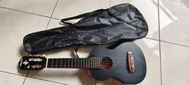 Akustik guitar small