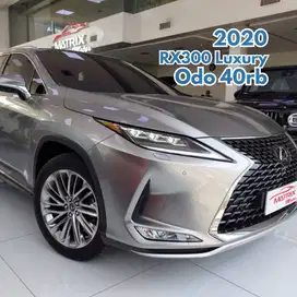 Lexus RX300 Luxury 2020 Facelift Grey on Black ATPM RX 300 Sonic