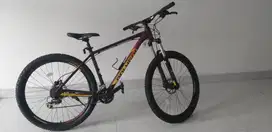 Sepeda Gunung Polygon Premier 4