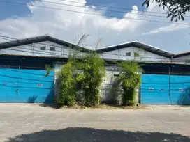 Gudang jurumudi-kalideres,tangerang.lt.1167m2.bgs