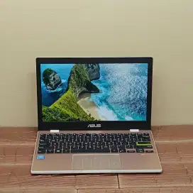 Asus Vivobook E210MA Intel Celeron N4020 RAM 4GB SSD 256GB