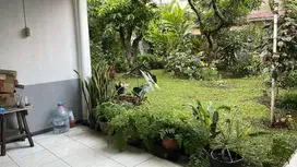 Dijual Rumah Cantik & Nyaman Di Jln Riau
