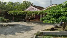 Kelurahan Mojorejo Kec Ngraho Kab Bojonegoro