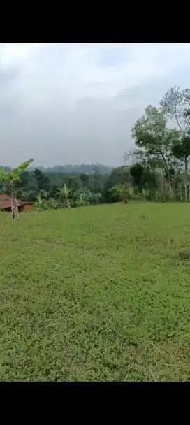Tanah Murah Poros Jalan Raya Bagus Untuk Usaha View Bagus