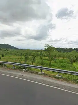 Tanah murah pinggir jalan raya utama pariwisata Mandalika Lombok