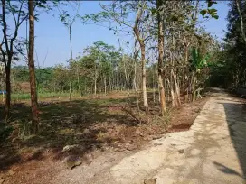 Dijual tanah datar status pekarangan di jumantono
