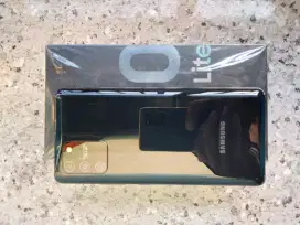 Samsung Galaxy S10 Lite Mulus Tapi Minus