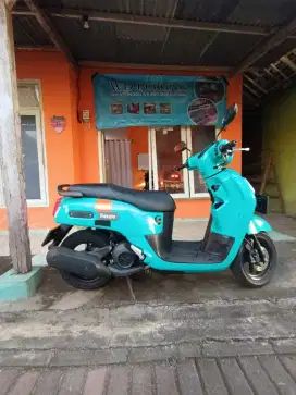 Fazzio tahun 2022 plat P Jember