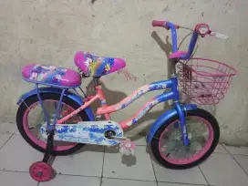 Sepeda anak cewek ukuran 16 PLUS RODA BANTU BONCENGAN KERANJANG