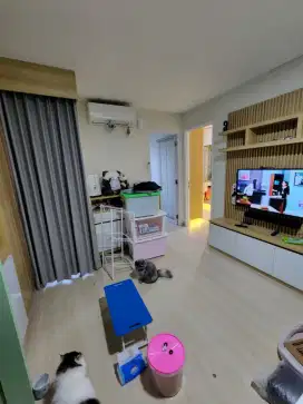 Jual murah 3Br renov  2Br Alamanda Bassura City  Jakarta Timur