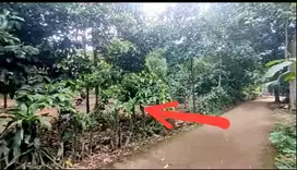 Tanah Kebun 300m² samping Citra Indah Jonggol, Cileungsi Bogor timur