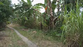 Dijual Cepat Tanah Kebun, Lokasi Strategis di Baebunta, Luwu Utara