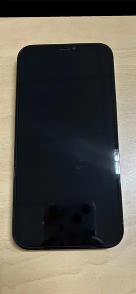 Iphone 12 Pro Max 256 GB INTER, Bisa untuk Semua Operator