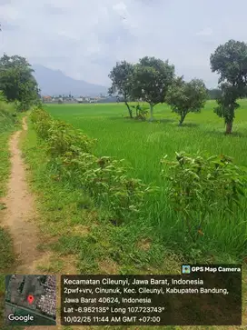 DIJUAL TANAH SAWAH CILEUNYI (1.388m2)