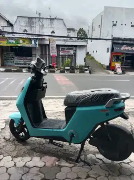 SEPEDA LISTRIK U-WINFLY D70