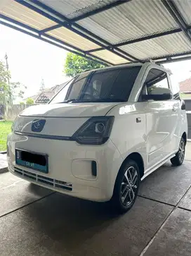 for sale: EV SERES e1 L type (long range)