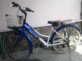 SEPEDA ONTEL PHOENIX 26