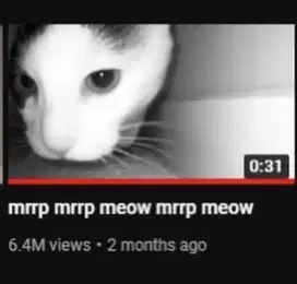 Jasa Penginapan Kucing // Penitipan Kucing // Titip Kucing