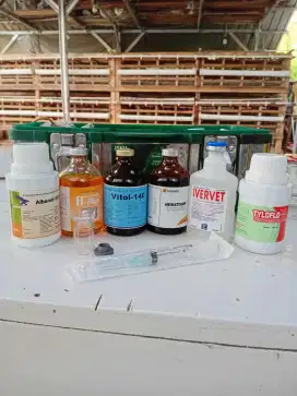 Vaksinasi Vaksin Komplit Kambing Domba