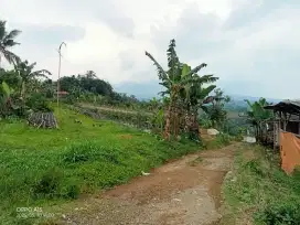 Dijual kebun view Gunung salak Gunung pangrango
