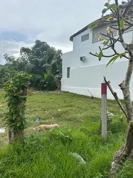 Dijual tanah plot kecil jalan kaki kepantai