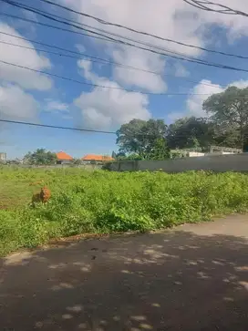tanah pinggir jalan besar cocok untuk gudang dan berbagai macam  usaha