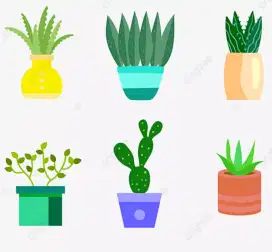 PRODUSEN PABRIK POT/POT BUATAN TANGAN & MEDIA/SEKAM PRIODUKSI SENDIRI