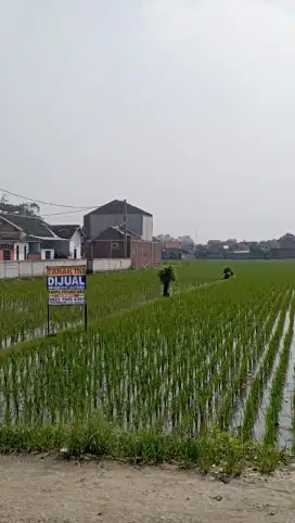 DIJUAL TANAH/SAWAH  KAMPUNG CEMBUL- RANCAMANYAR KEC.BALEENDAH