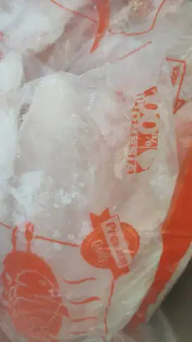 Dori Fillet NBL 1 kg - Kota Depok