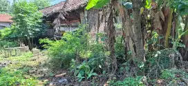 Dijual Tanah SHM Luas 247 m2 Tawangrejo Takeran Magetan