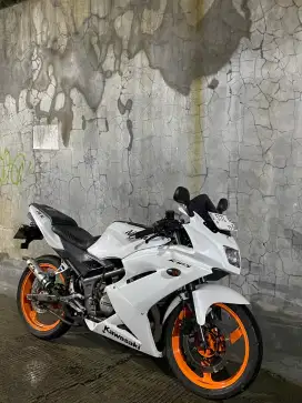 Kawasaki Ninja RR New SE 2013 Albino