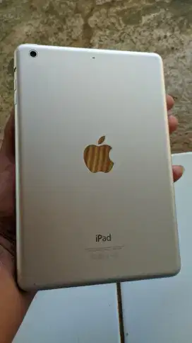 Jual iPad mini 2