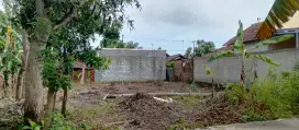 Jual Cepat Tanah Pekarangan