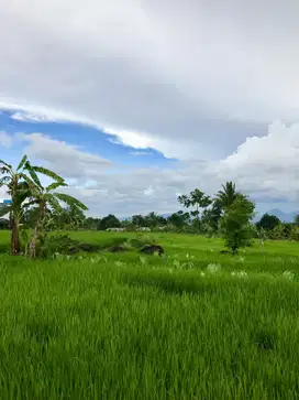 DIJUAL TANAH HOKI DI KAKI GUNUNG SALAK, COCOK UNTUK VILLA & PERUMAHAN