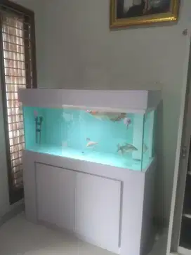 Aquarium uk 120 cm baru