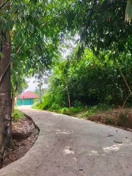 Dijual Cepat Tanah Tenjo Lt 7200m²! Harga Fantastis