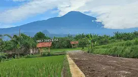 TANAH PURWOKERTO TERLARIS VIEW EKSOTIS