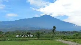 TANAH KOMPLEK WISATA PURWOKERTO TERLARIS