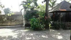 Rumah mewah pinggir jalan Montong