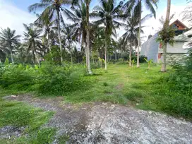 BUC tanah sewa 2170 m2 kawasan pariwisata balian beach