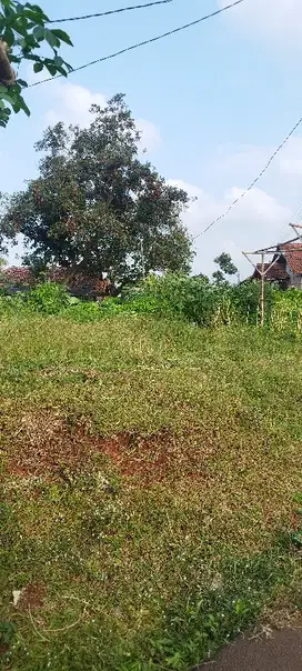 tanah dijual cepat di Kp dukuh pinang bonang
