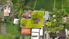Tanah Sangat Langka di Central UBUD 10 Menit Ke Pison Ubud
