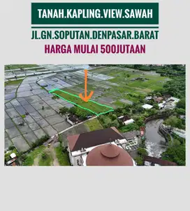 Jual Tanah View Sawah SHM itr kuning Kerobokan Seminyak Denpasar Bali